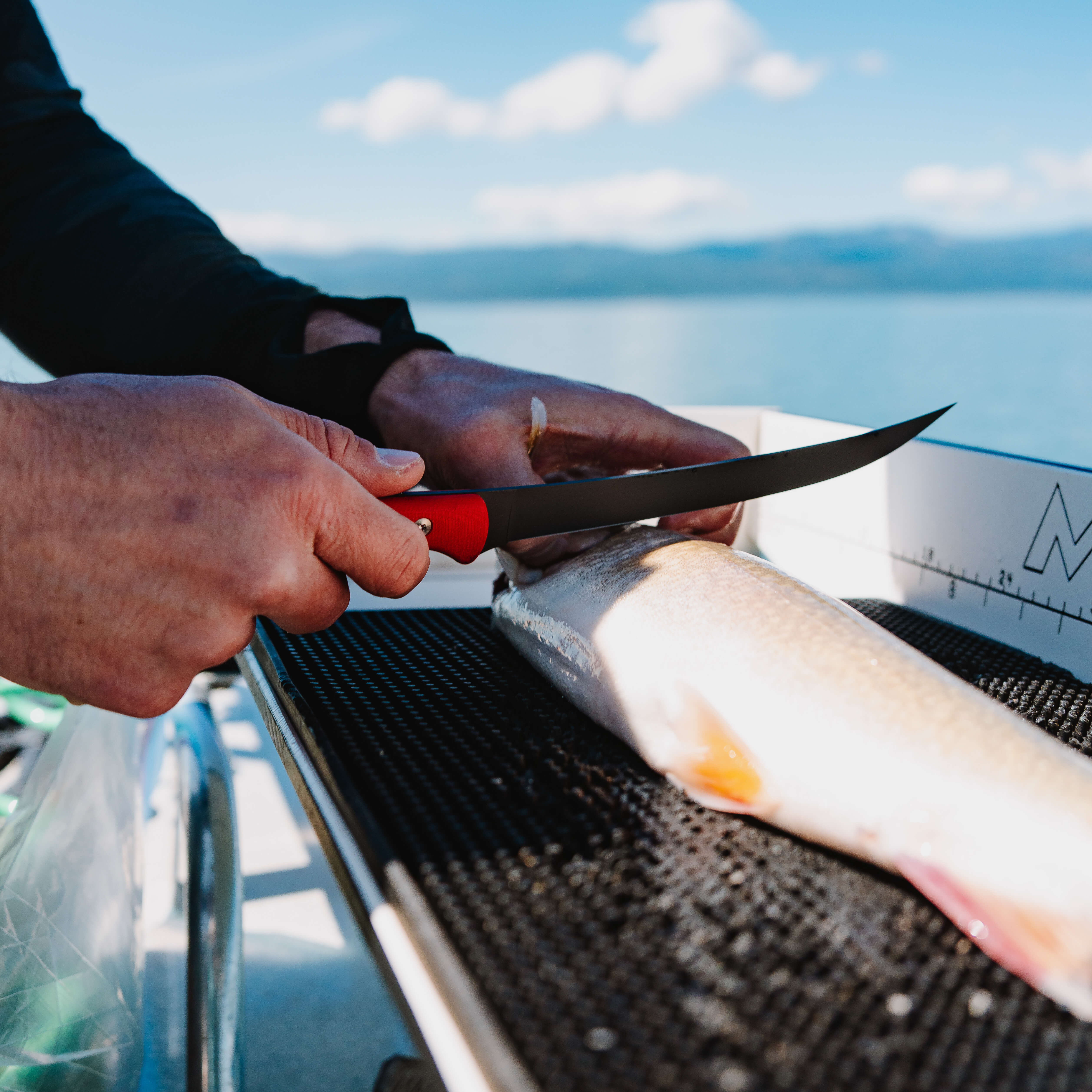 FLATHEAD FILLET - RED - Image 10