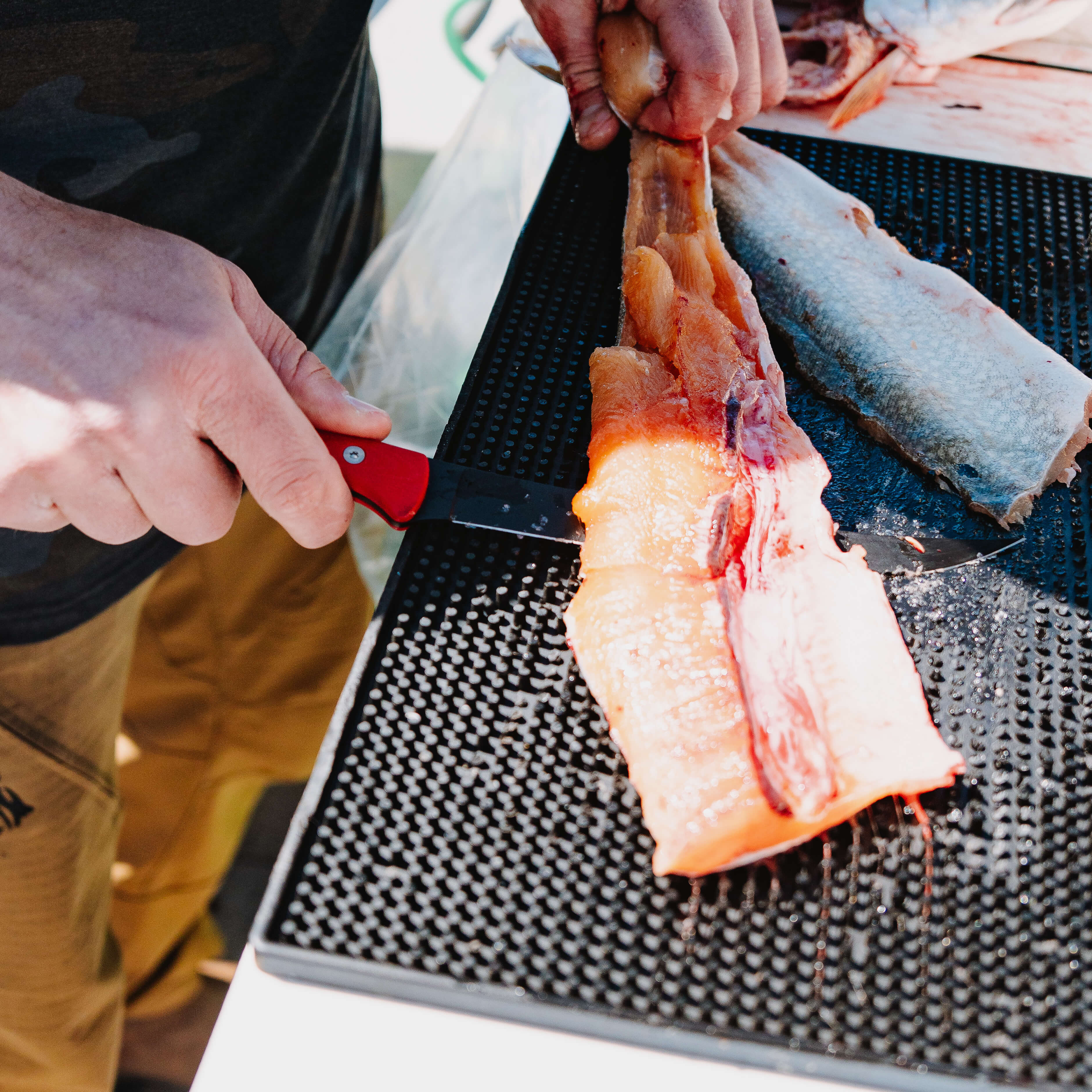 FLATHEAD FILLET - RED - Image 19