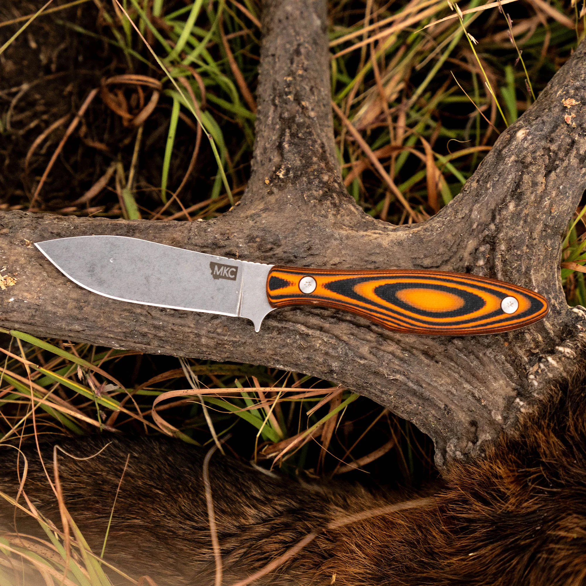 JACKSTONE  - ORANGE AND BLACK - Image 11