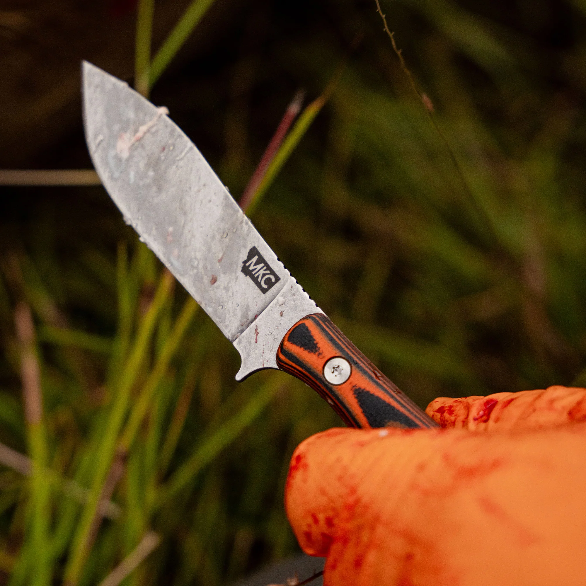 JACKSTONE  - ORANGE AND BLACK - Image 12