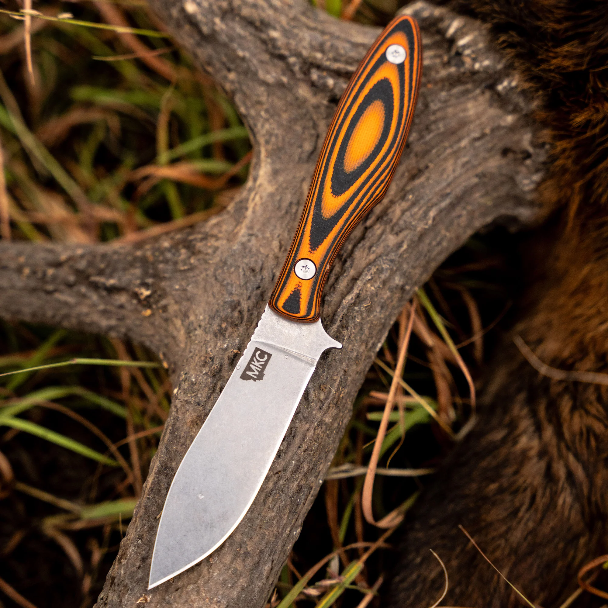 JACKSTONE  - ORANGE AND BLACK - Image 18