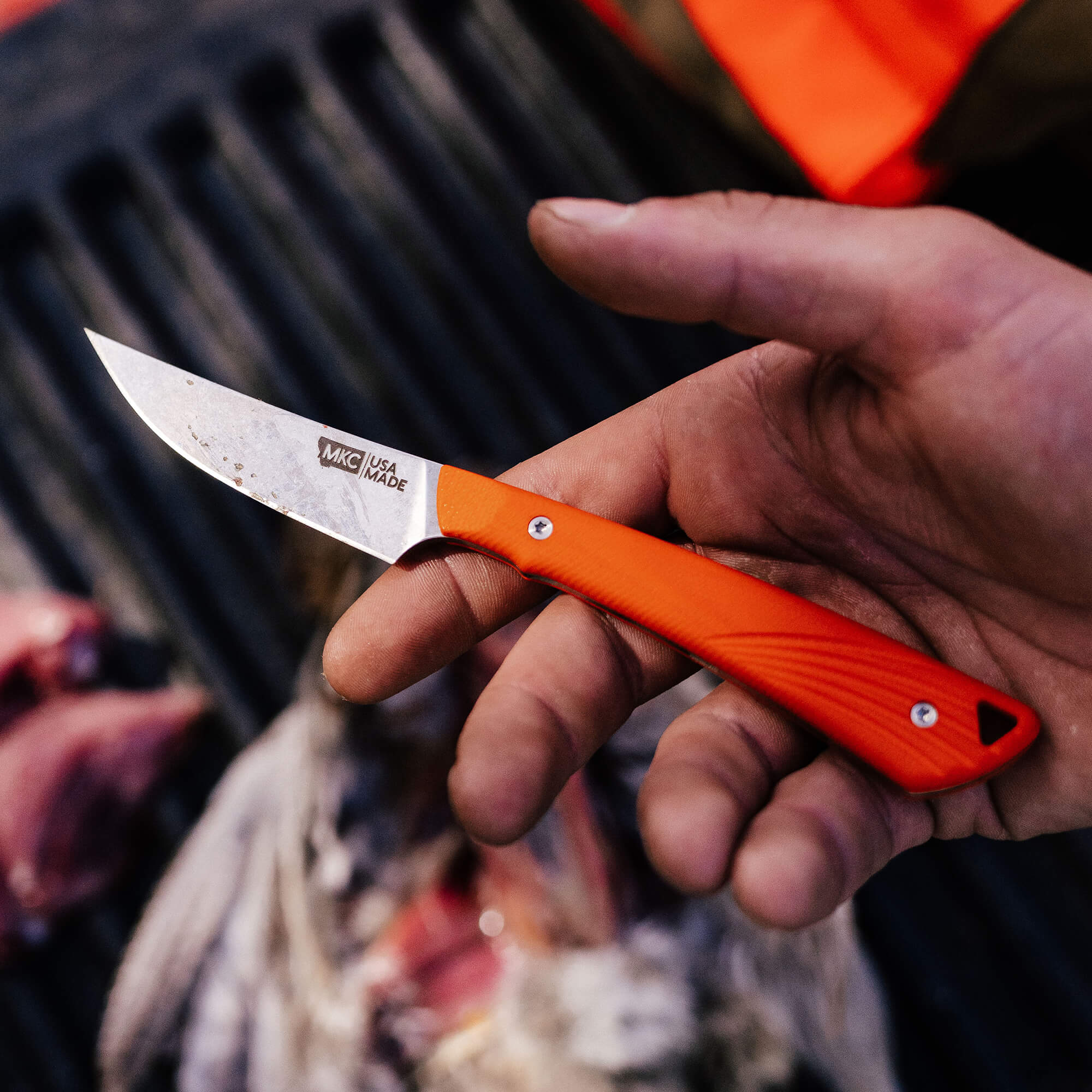 SHARPTAILED - ORANGE - Image 17