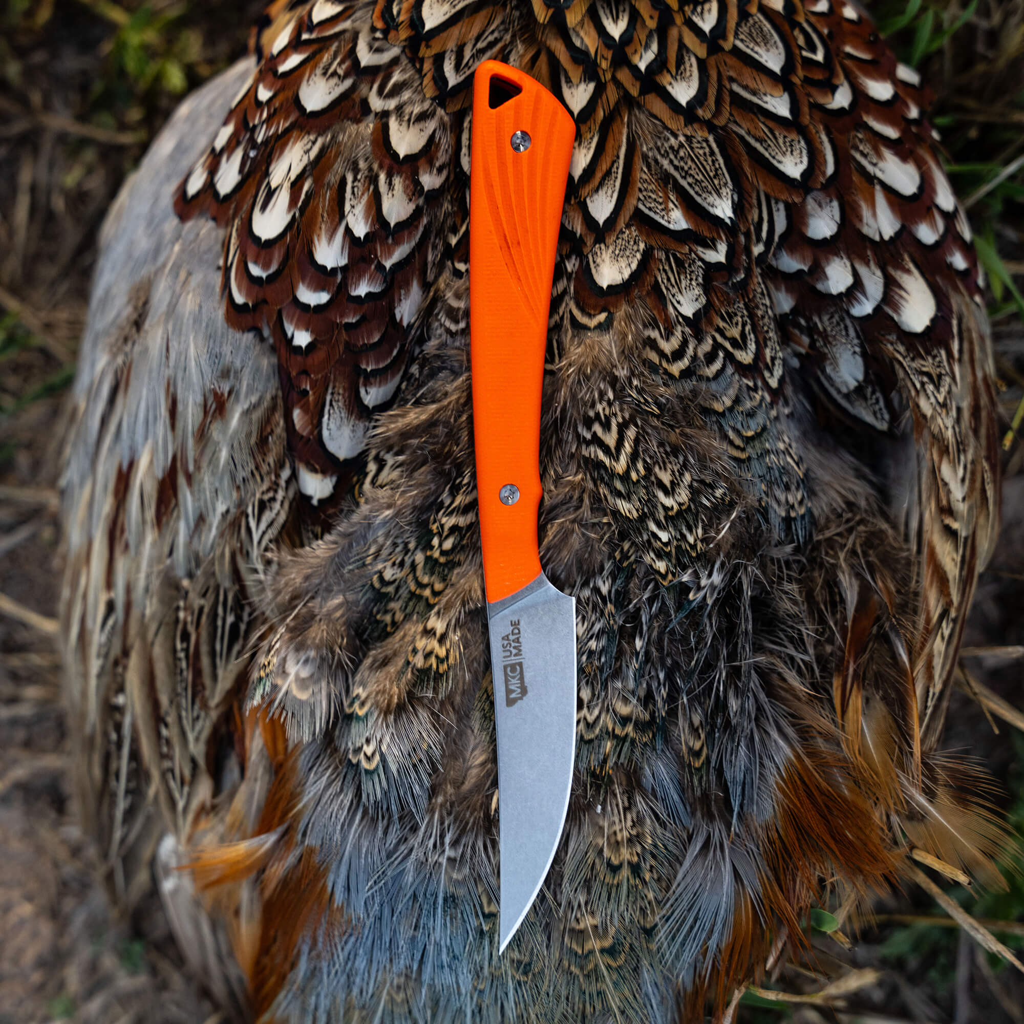 SHARPTAILED - ORANGE - Image 9