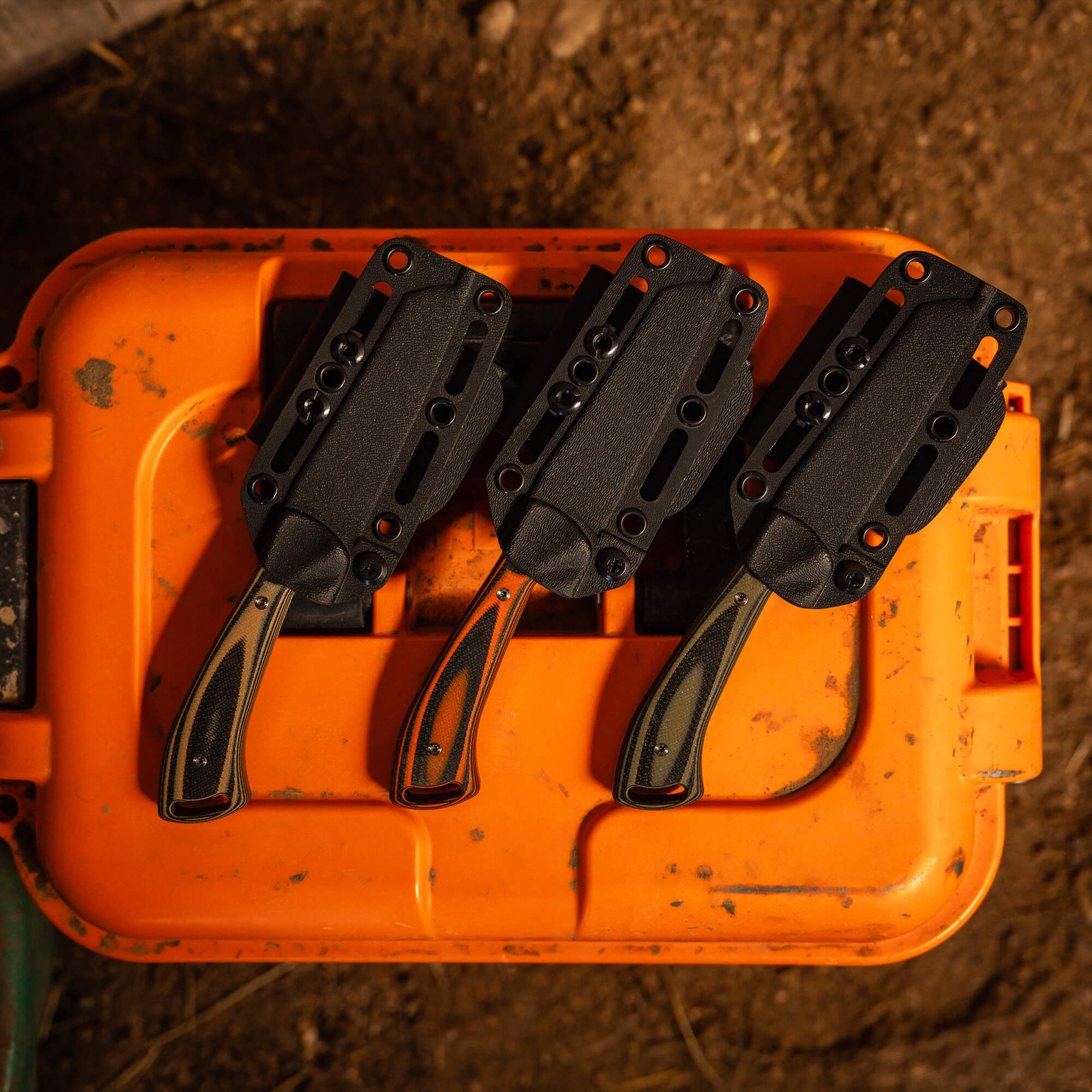 STOCKYARD - ORANGE & BLACK - Image 28